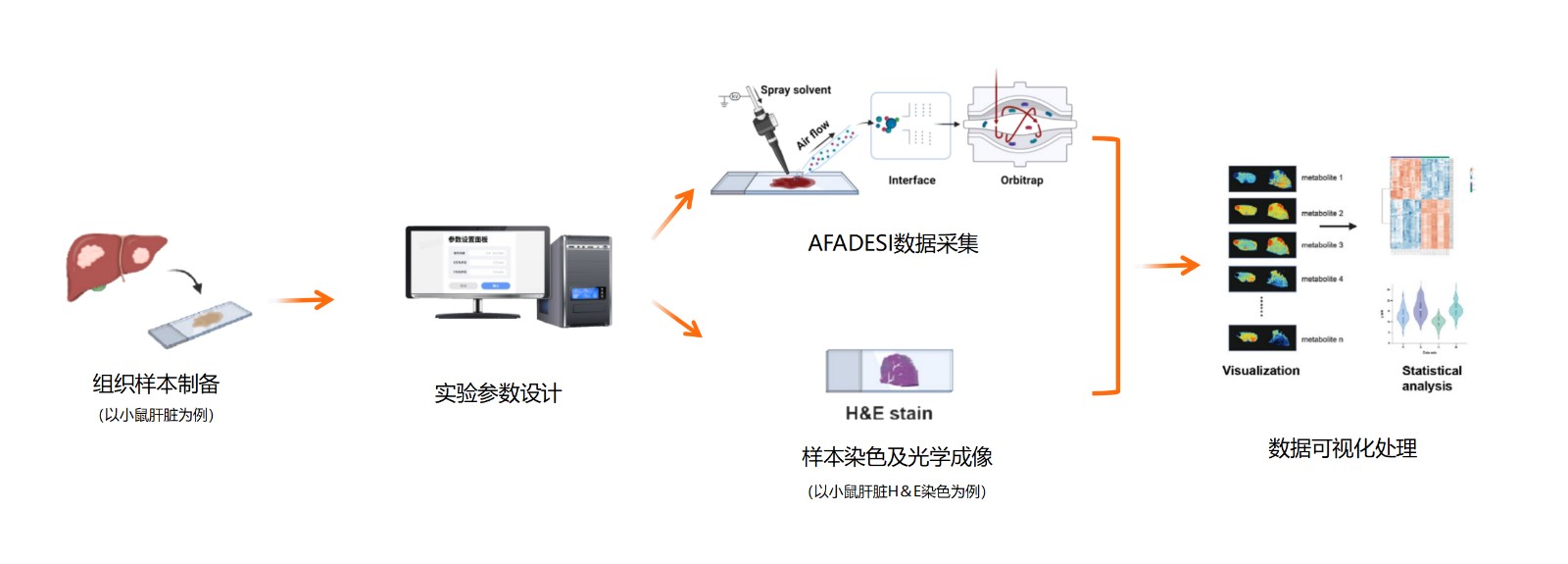 AFADESI实验流程_02.jpg